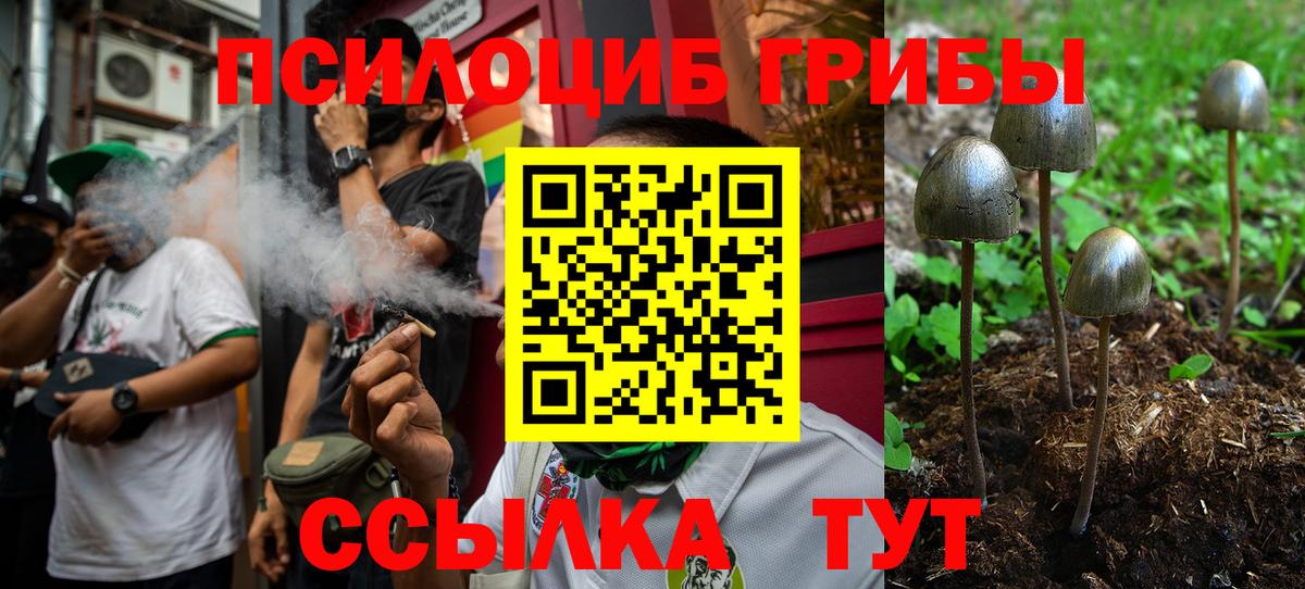 Псилоцибиновые грибы Magic Shrooms Черкесск
